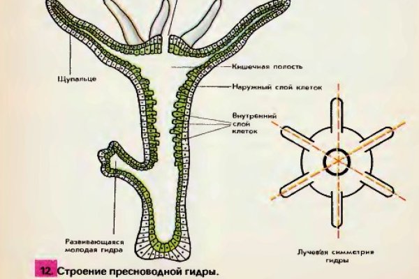 Регистрация на кракен